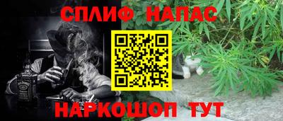 СК Славгород