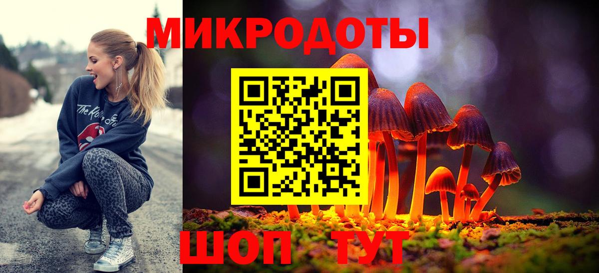 Галлюциногенные грибы Psilocybe  Вход с VPN  Нальчик 